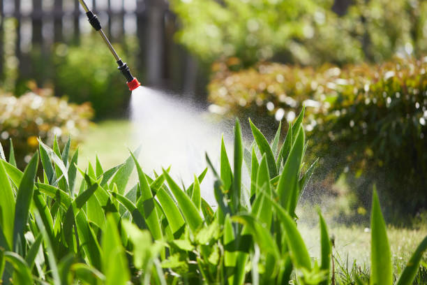 24/7 Emergency Termite Control experts in Oceanside, CA