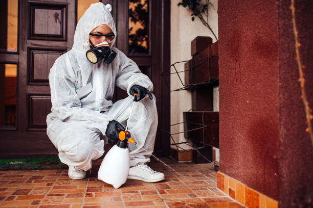 Reliable Termite Control contractor in Oceanside, CA by Nex Pest Control